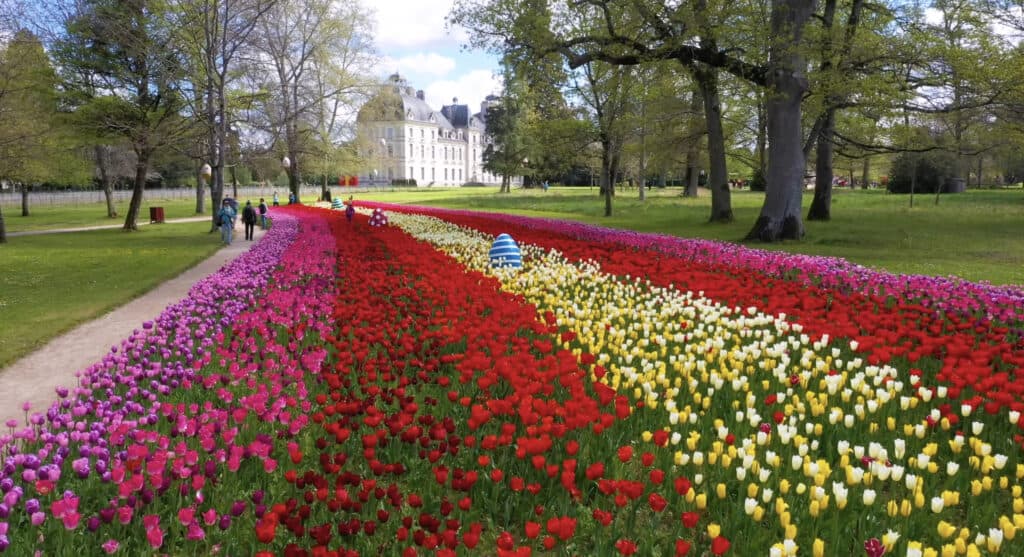 Tulip bulbs at Château de Cheverny (image: Youtube)