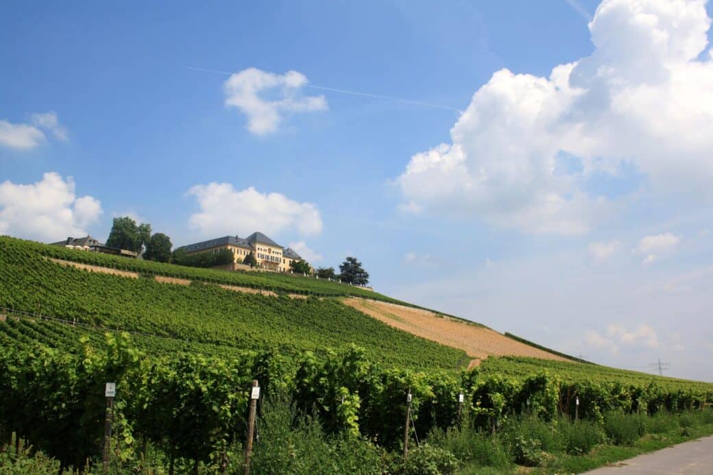 Johannisberg Castle and vineyard (photo: Pixabay)