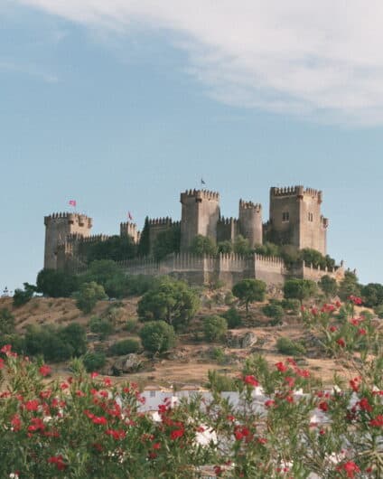 Castillo de Almodóvar del Río (photo: Rabe!, CC BY-SA 3.0 via Wikimedia Commons)